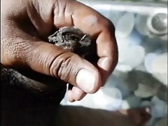 Indian black cock cumming videos